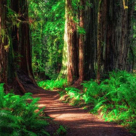 Cedar Mountain -Suite B Ґрантс-Пасс Екстер'єр фото